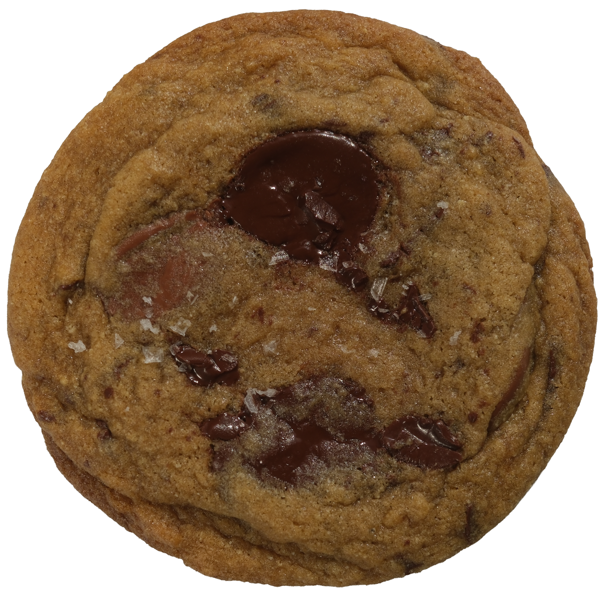 Chocolate Chip